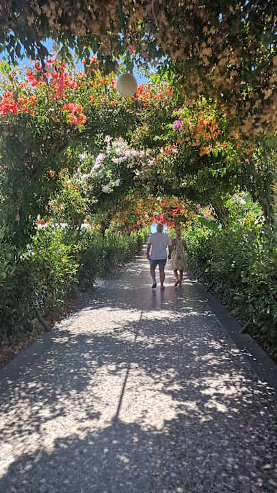 Strand Rubi Platinum Sign