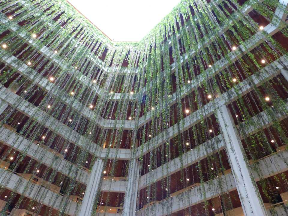 Blick nach oben Blau varadero - Adults only