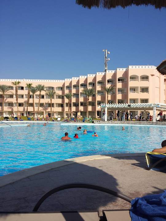 Basen  Beach Albatros Resort