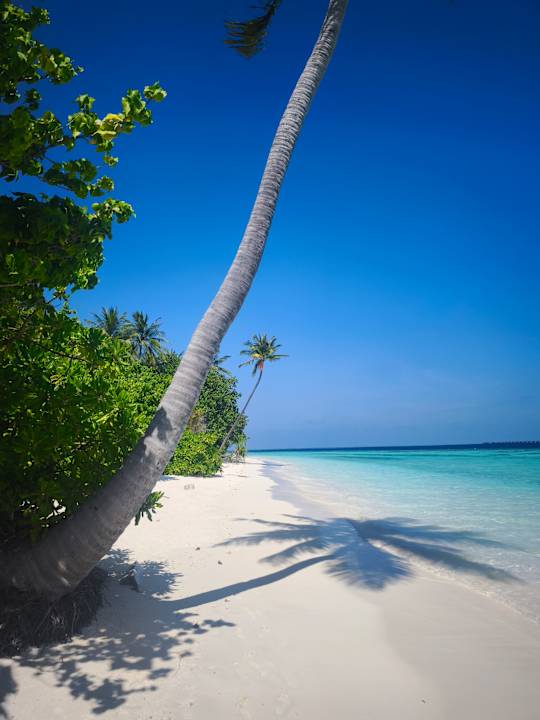 Strand Vilamendhoo Island Resort & Spa