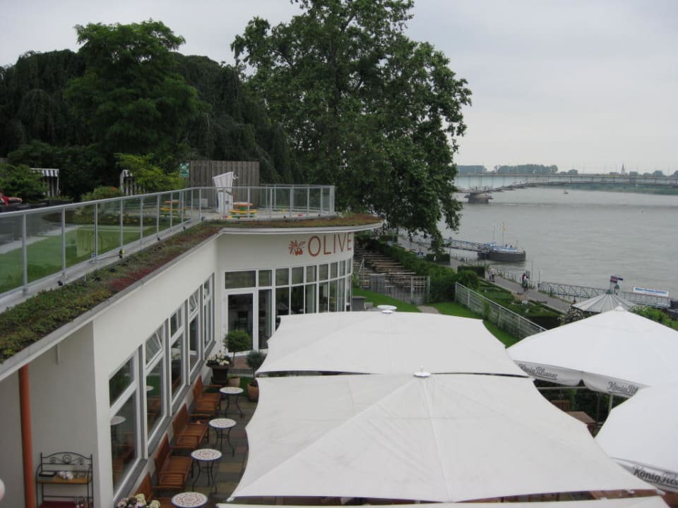 Königshof Bonn, "Oliveto Terrasse" Ameron Hotel Königshof
