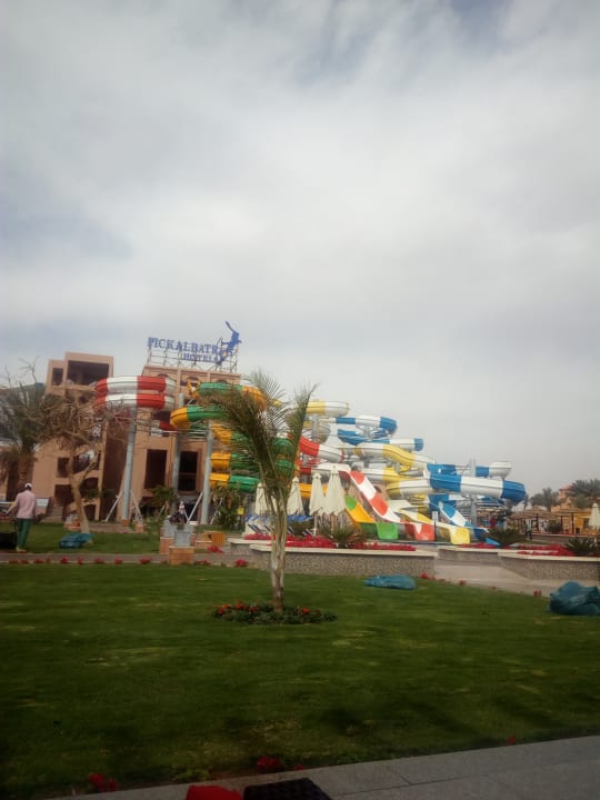 Pool Pickalbatros Aqua Park Resort - Hurghada