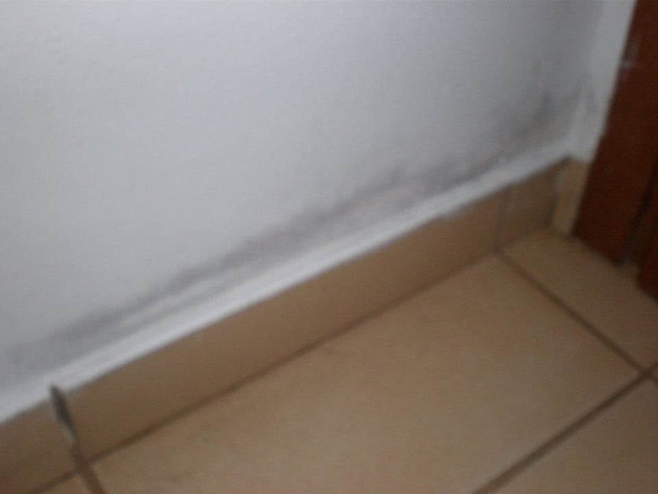 Schimmel in jeder Ecke Delfina Boutique Hotel