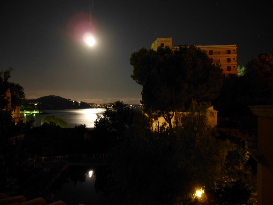 Nachtblick bei Vollmond (mit Blitz) FLOR los Almendros Hotel