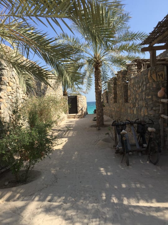 Blick zum Strand Six Senses Spa At Zighy Bay
