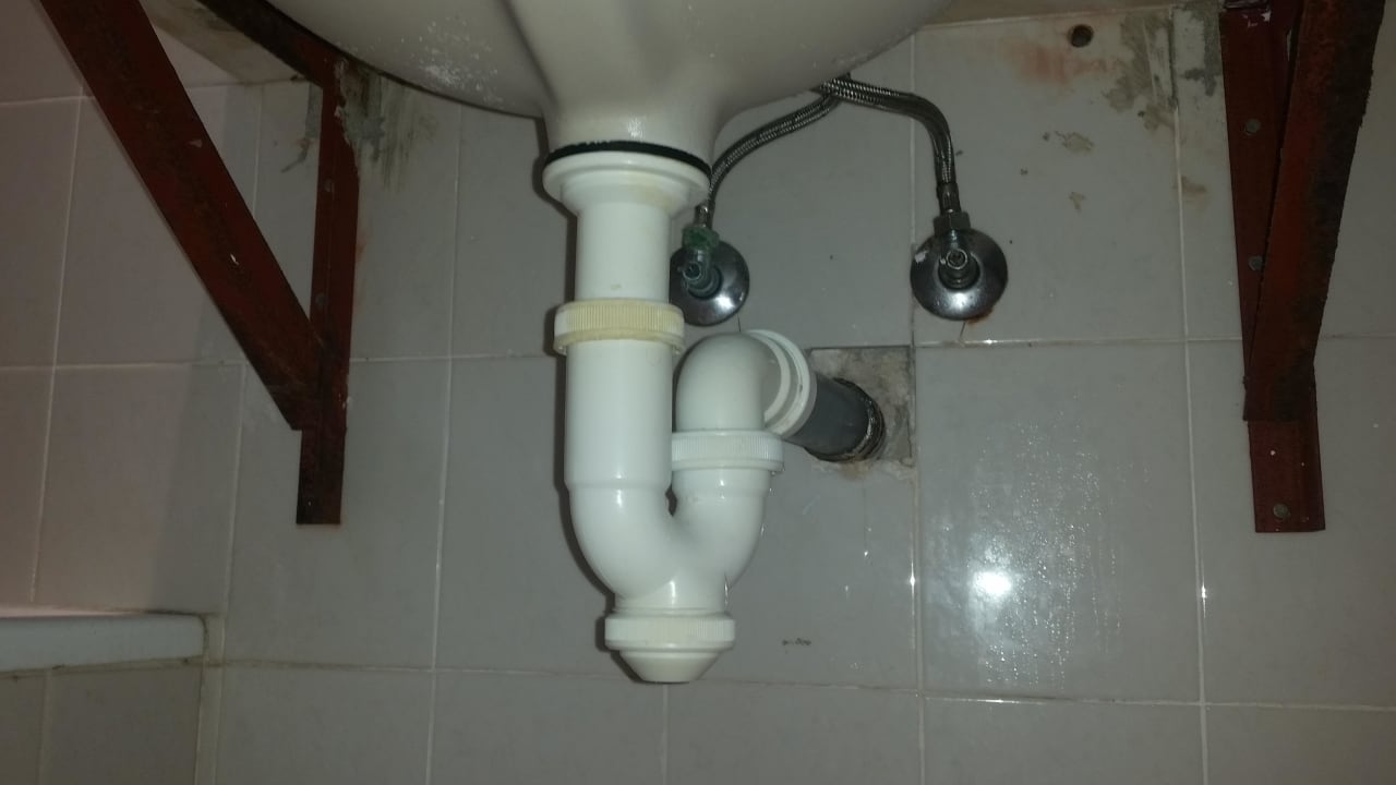 Blick von der Toilette  Globales Bouganvilla