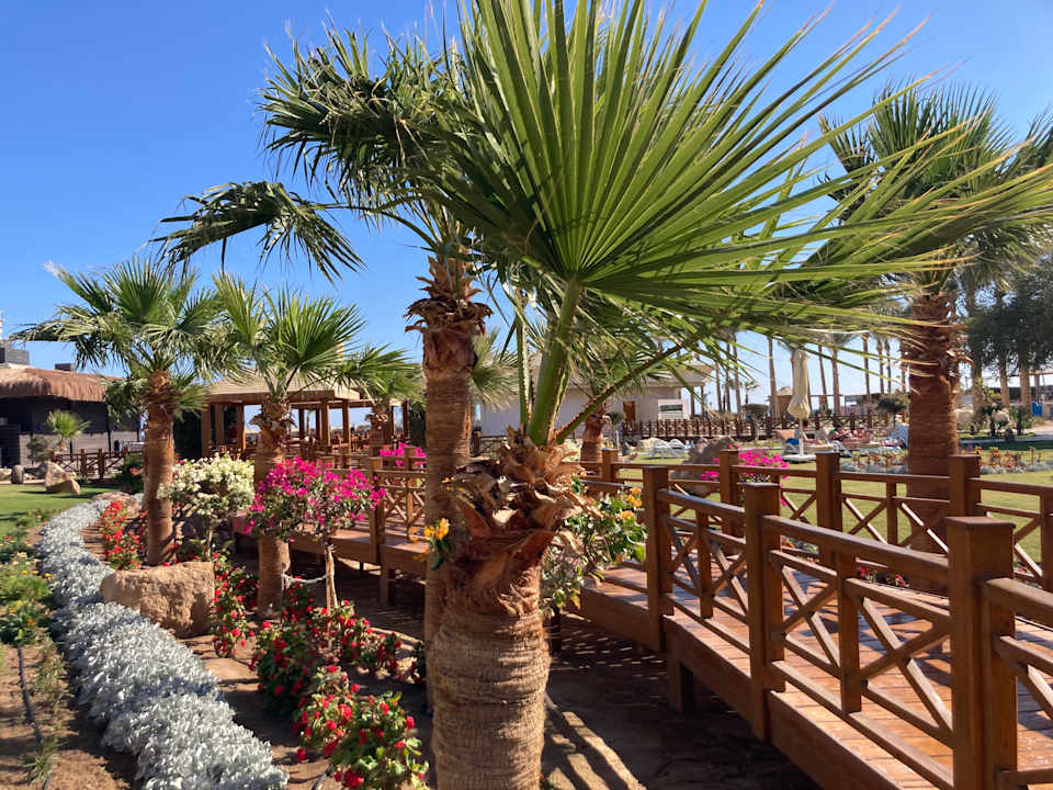 Gartenanlage Tropitel Sahl Hasheesh