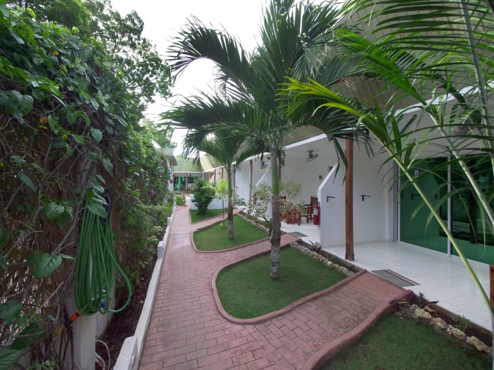 Gartenanlage Alona Gecko Inn