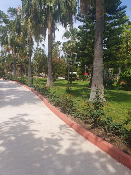 Außenansicht Saphir Resort & Spa