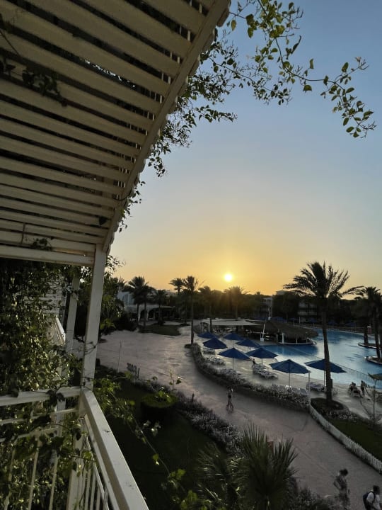 Ausblick Desert Rose