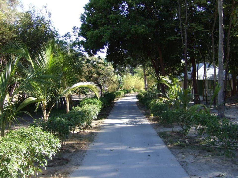 Der Weg durch die Anlage Sai Kaew Beach Resort