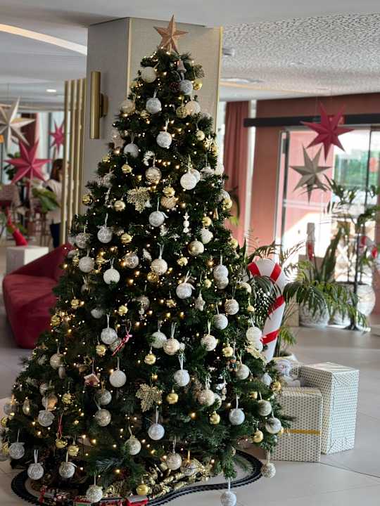 Lobby Hotel Riu Concordia