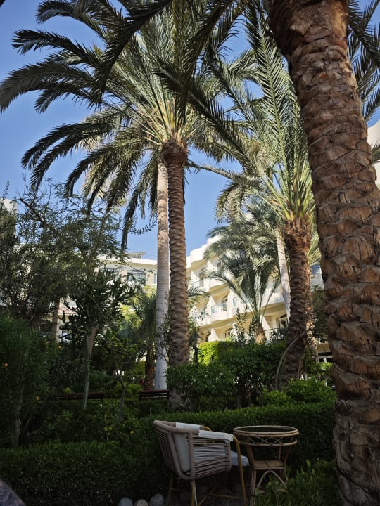 Außenansicht Bella Vista Resort Hurghada