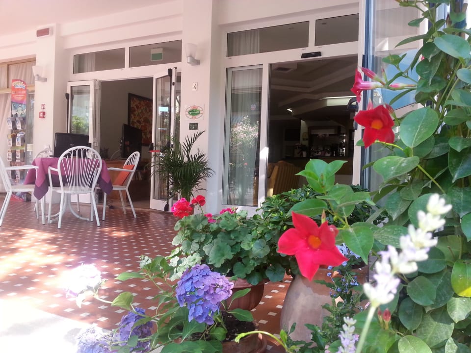 Hotel St. Moritz Rimini vacanze holiday Hotel St. Moritz