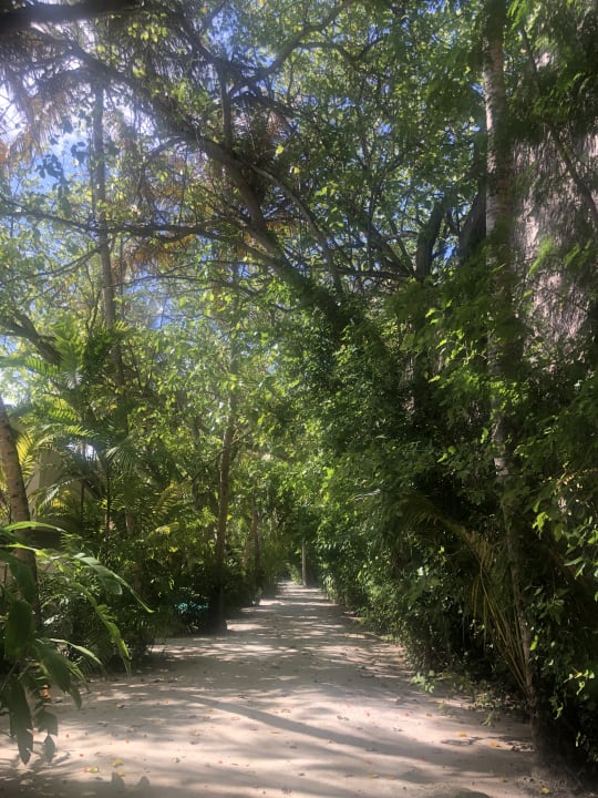 Gartenanlage Summer Island Maldives
