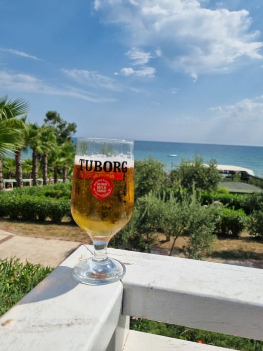 Ausblick Alba Resort Hotel