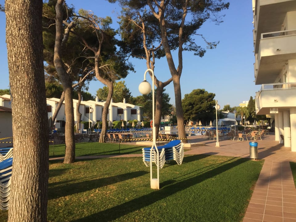 Garten Grupotel Los Principes & Spa