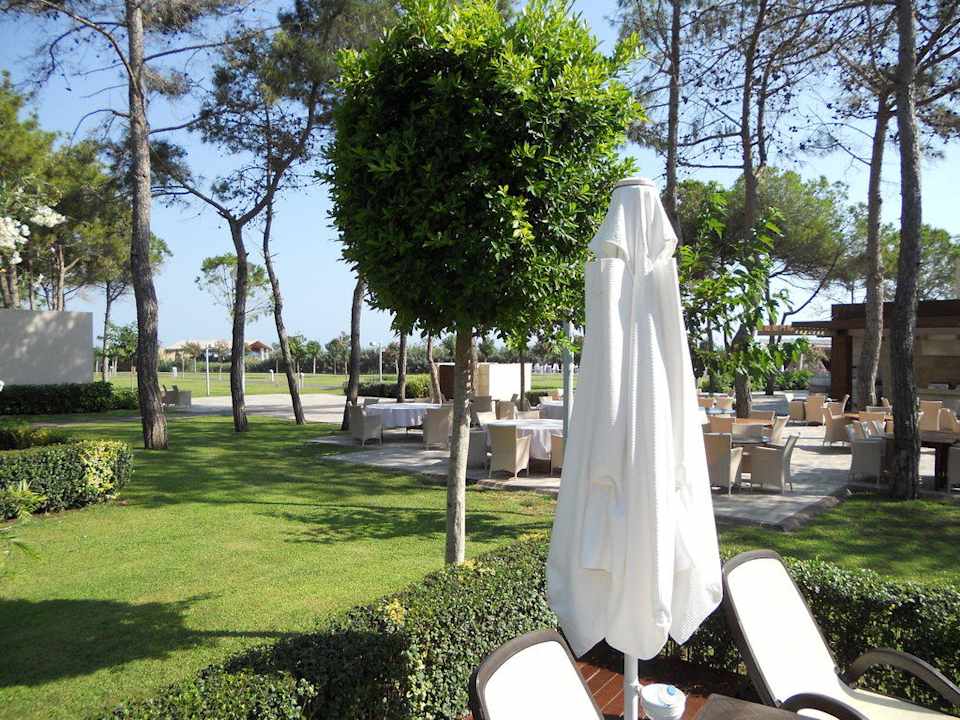 Garten/Poolanlage Gloria Serenity Resort