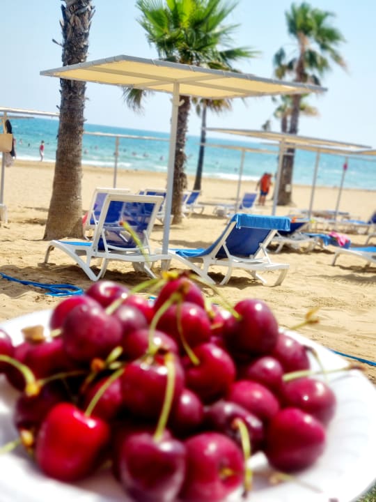 Sonstiges Hotel Süral Resort