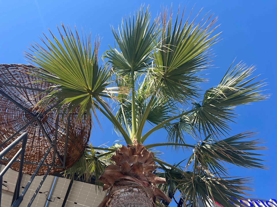 Strand Notion Kesre Beach & Spa