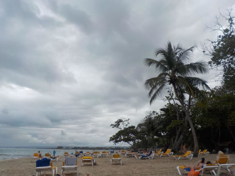 Alle Liegen reserviert Iberostar Waves Costa Dorada