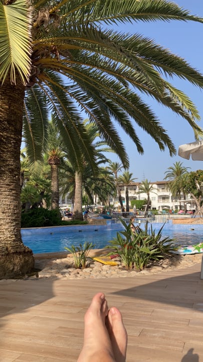 Pool Alcudia Garden Aparthotel