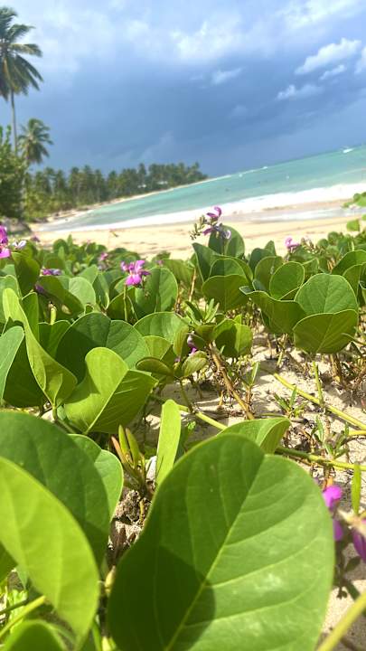 Strand Bahia Principe Grand El Portillo