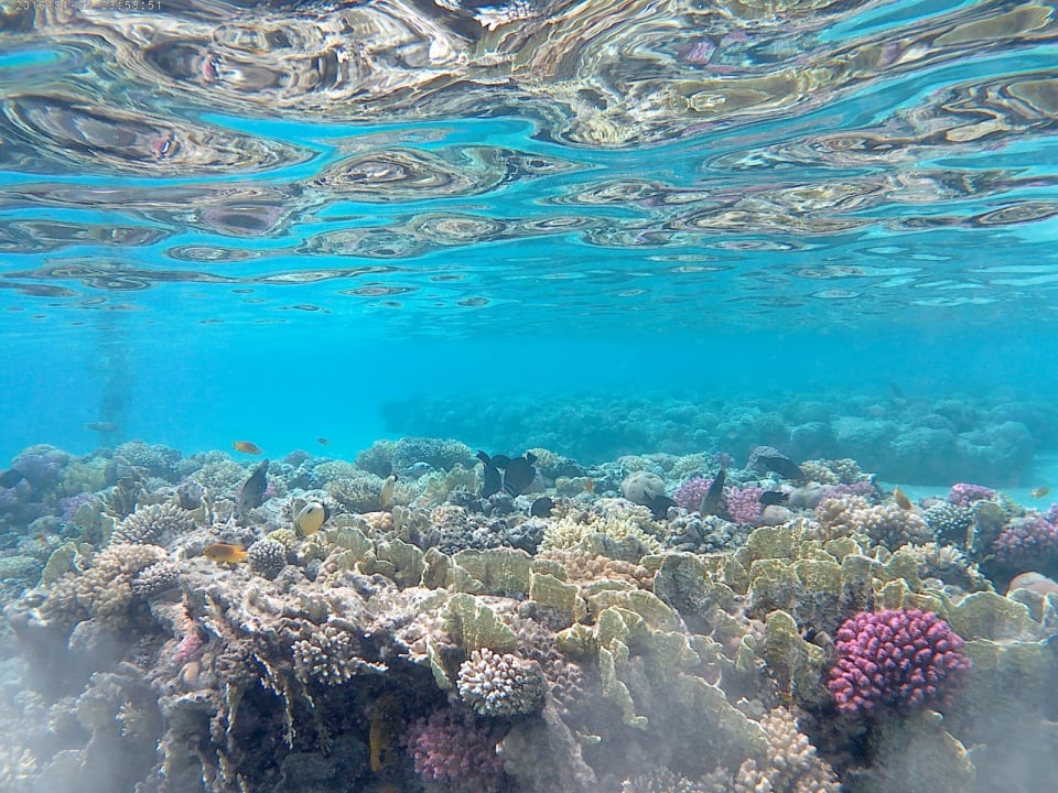 Sport & Freizeit Jaz Makadi Saraya Resort