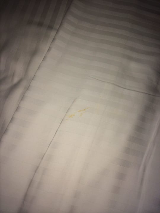 Flecken auf dem Laken Earl’s Reef Beruwala