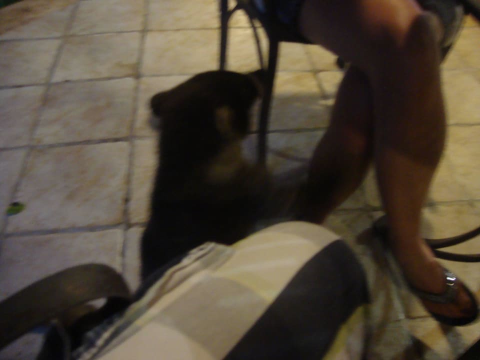 Hotel Catalonia Playa Maroma Catalonia Playa Maroma