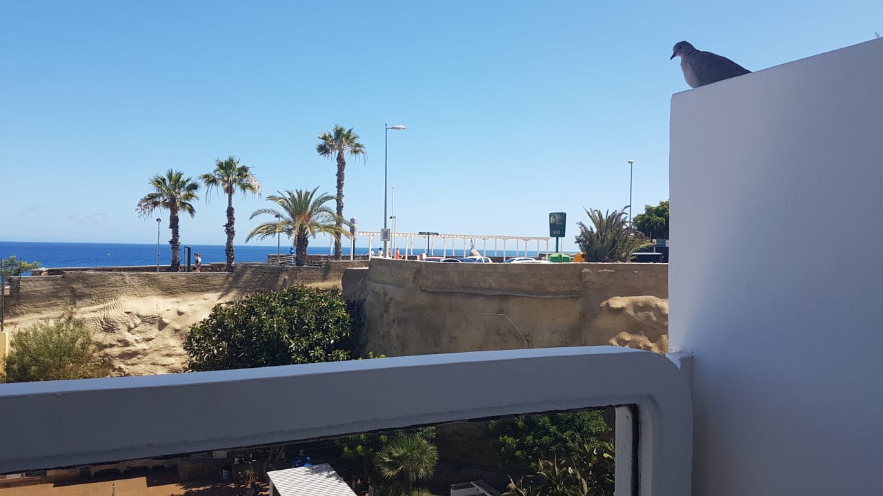 Ausblick Hotel Europalace