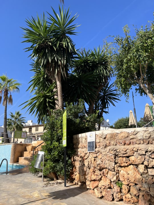 Pool Club Simó Hotel by Senator