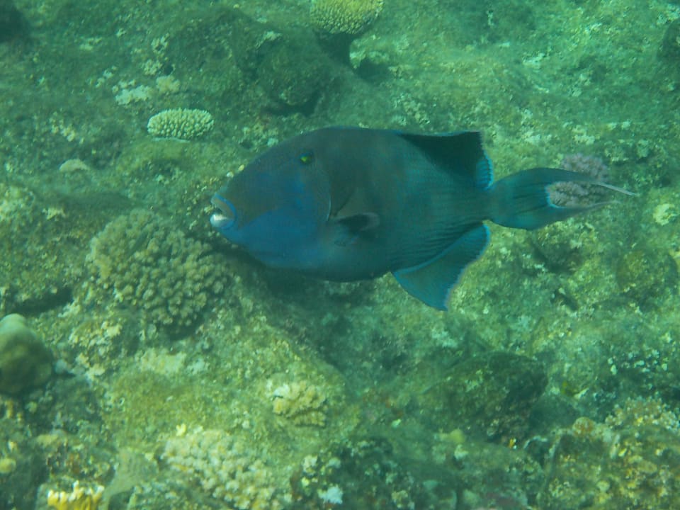 Strand Casa Mare Resort