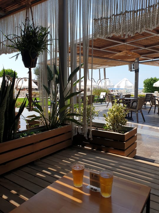 Pool Flora Garden Beach Hotel ( 16+ Adults Only )