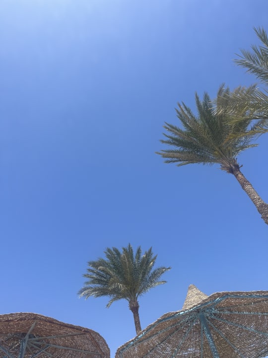 Ausblick Marlin Inn Azur Resort