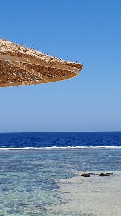 Strand Pickalbatros Sea World Resort - Marsa Alam
