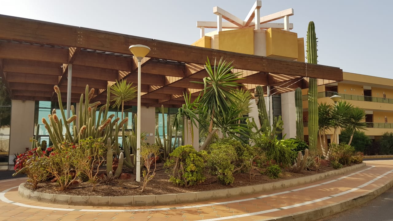 Gartenanlage SBH Club Paraiso Playa