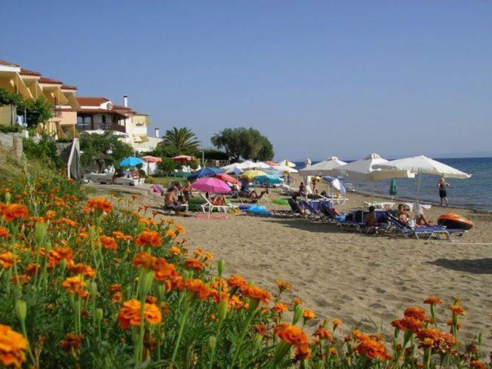 Aussicht/Ausblick Haus des Fischers