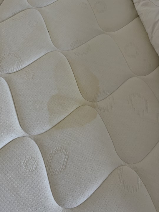 Zimmer Limak Limra Hotel & Resort