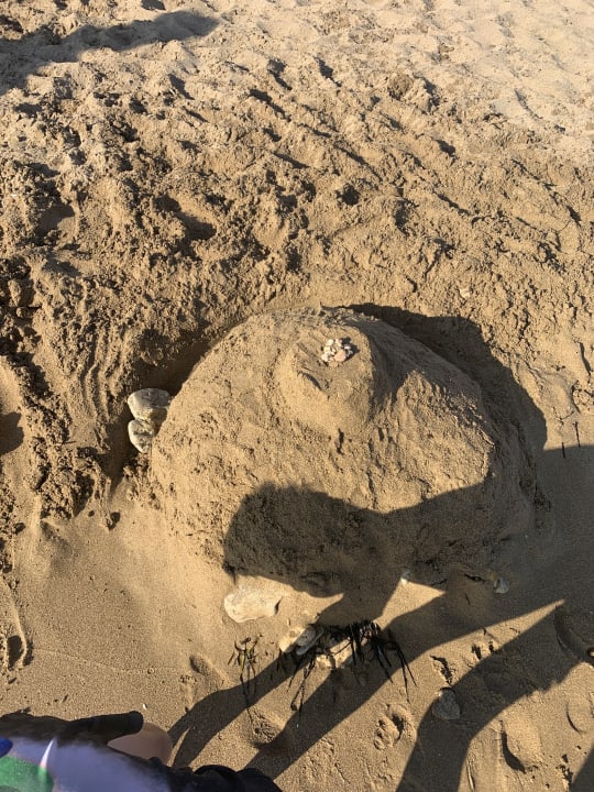 Strand Sandy Beach Resort