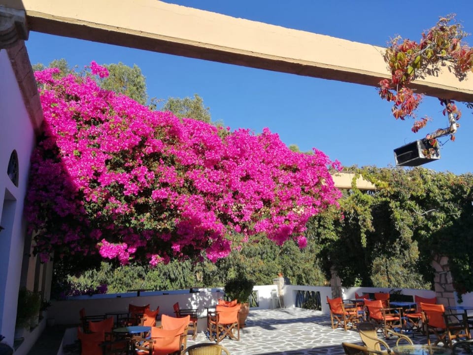 Gastro Ekaterini Hotel