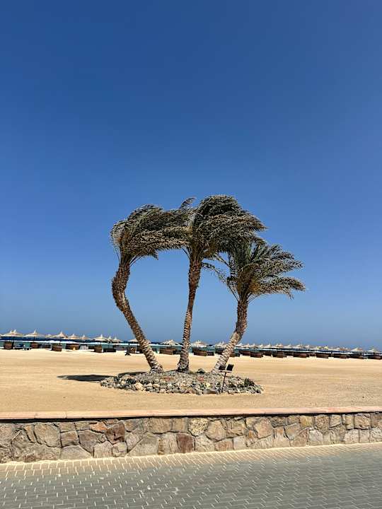 Strand Novotel Marsa Alam Beach Resort