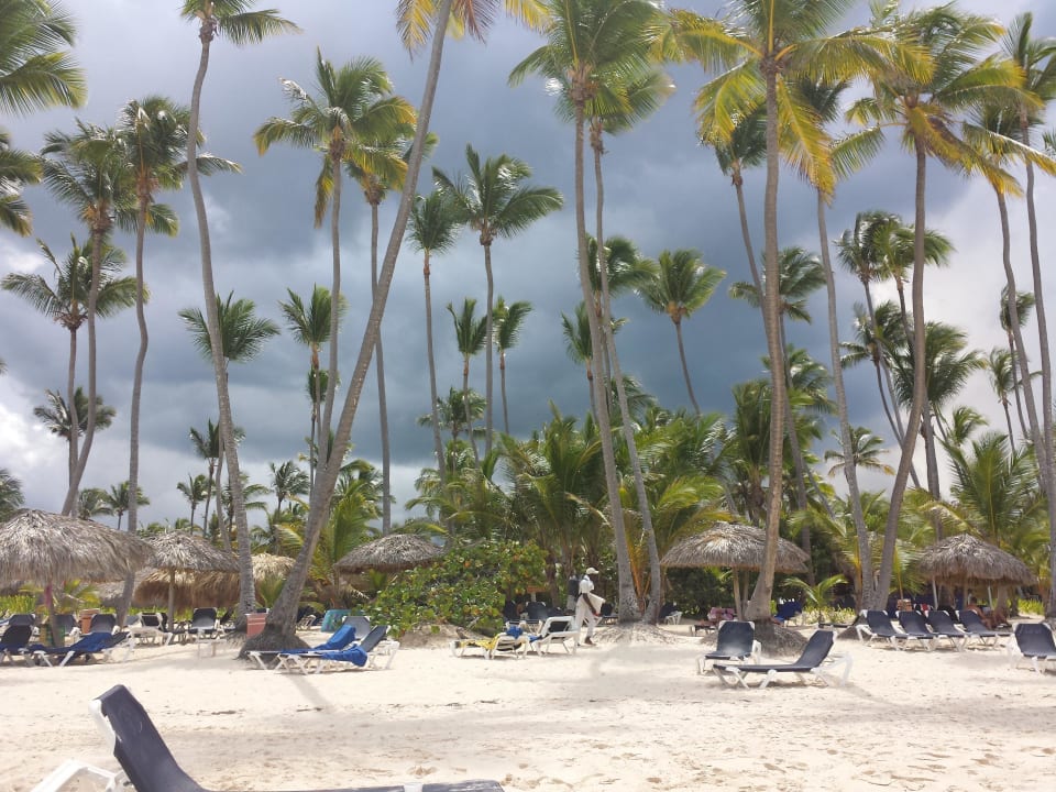 Ausblick vom Meer Grand Palladium Select Bávaro Resort & Spa