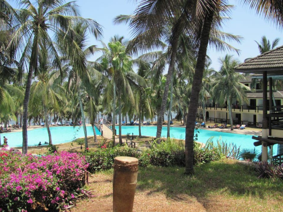 Blick zum Pool und Meer PrideInn Flamingo Beach Resort & Spa