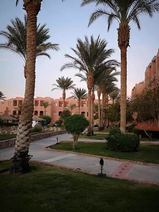 Gartenanlage Jaz Makadi Oasis Resort