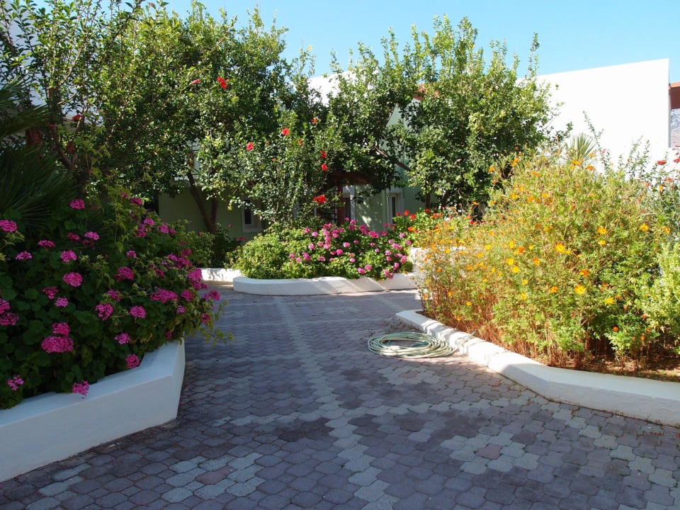 Ogród HARPIN Georgioupolis Resort Aquapark & SPA