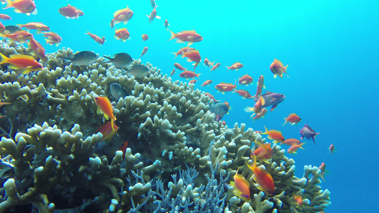 Strand Casa Mare Resort