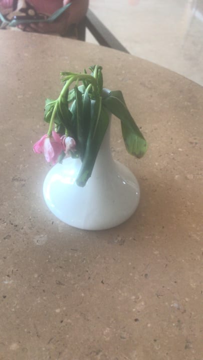 Sonstiges Le Jardin Aqua Park Resort