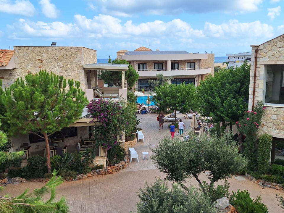 Ausblick Cactus Royal