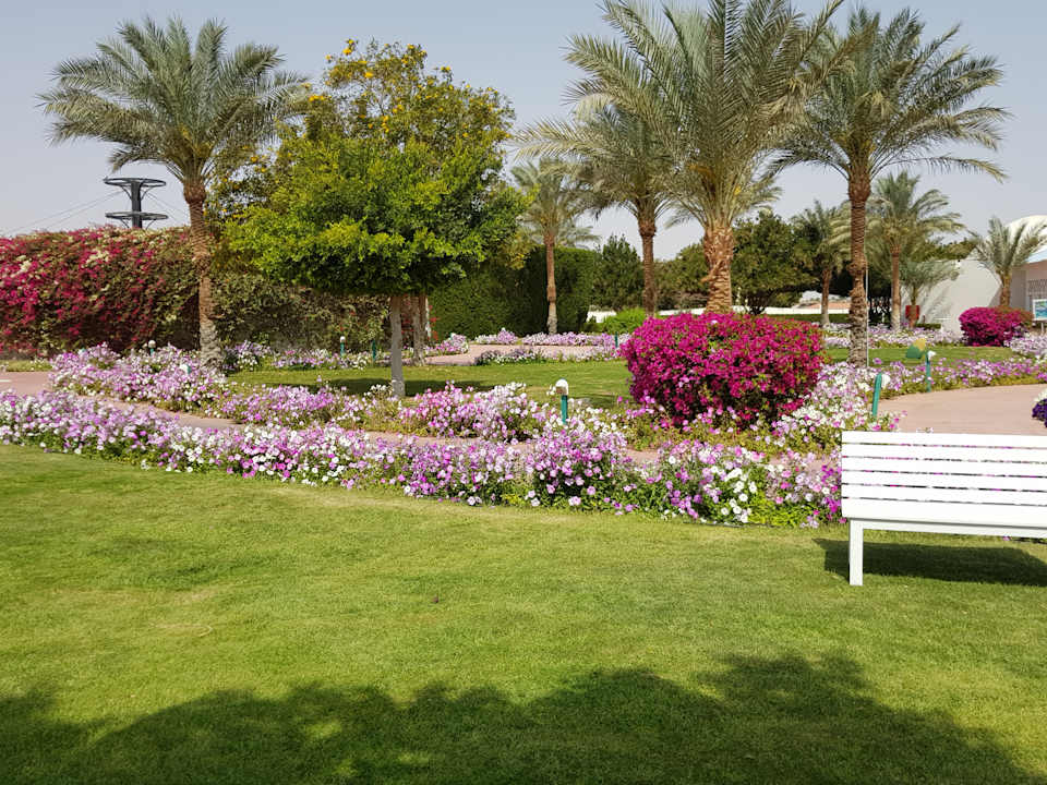 Gartenanlage Desert Rose